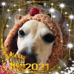 Meet your Posher, Sherrie